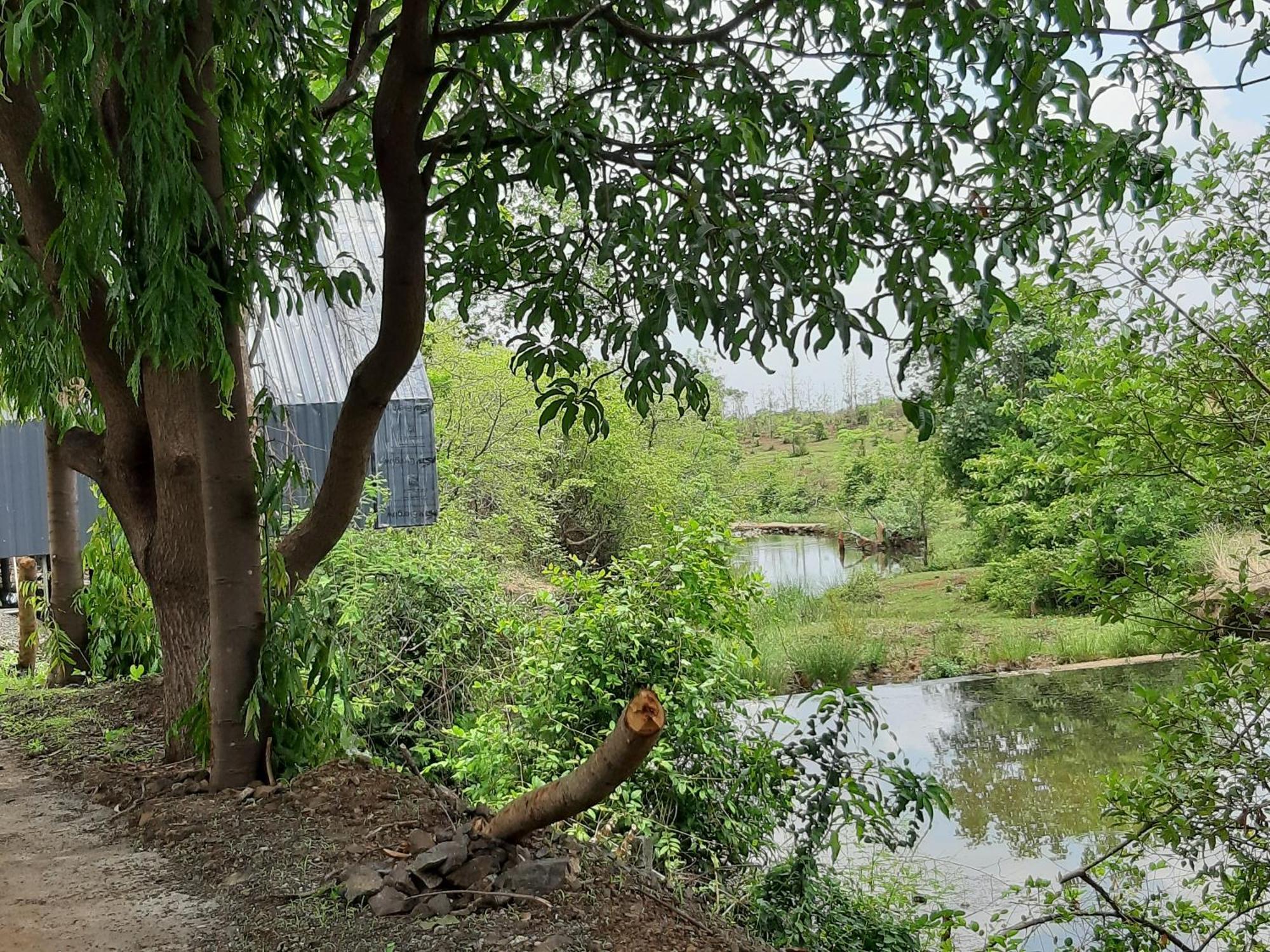 River Ranch Saralgaon Ngoại thất bức ảnh